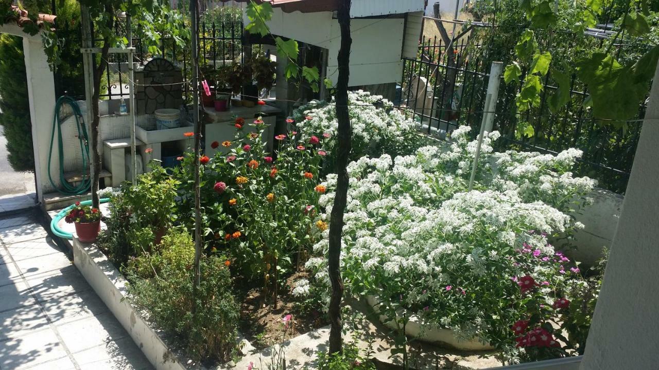 Grigorios Apartments Βρασνά Εξωτερικό φωτογραφία